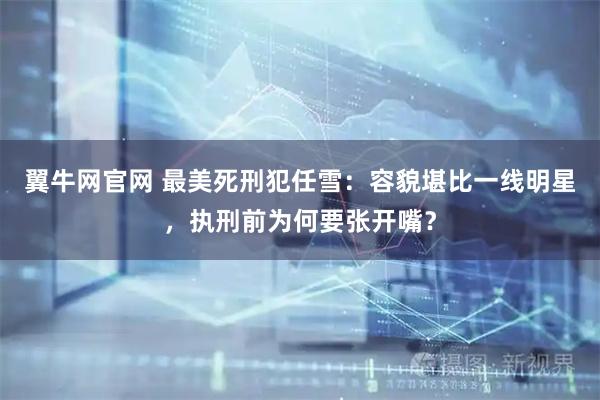 翼牛网官网 最美死刑犯任雪：容貌堪比一线明星，执刑前为何要张开嘴？