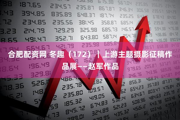 合肥配资网 冬趣（172）｜上游主题摄影征稿作品展——赵军作品