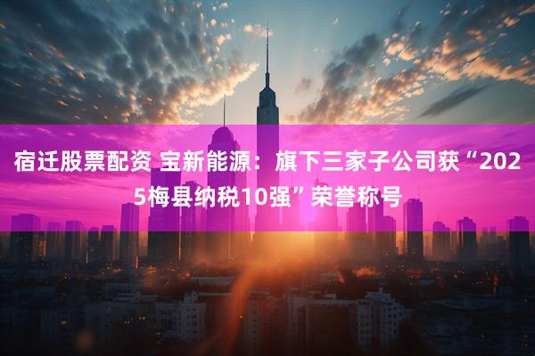 宿迁股票配资 宝新能源：旗下三家子公司获“2025梅县纳税10强”荣誉称号
