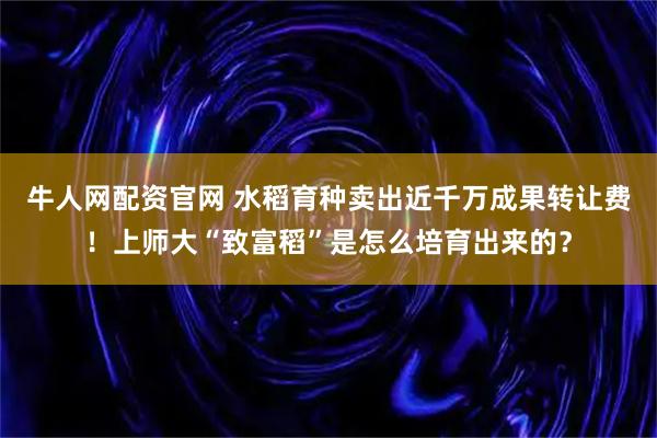 牛人网配资官网 水稻育种卖出近千万成果转让费！上师大“致富稻”是怎么培育出来的？