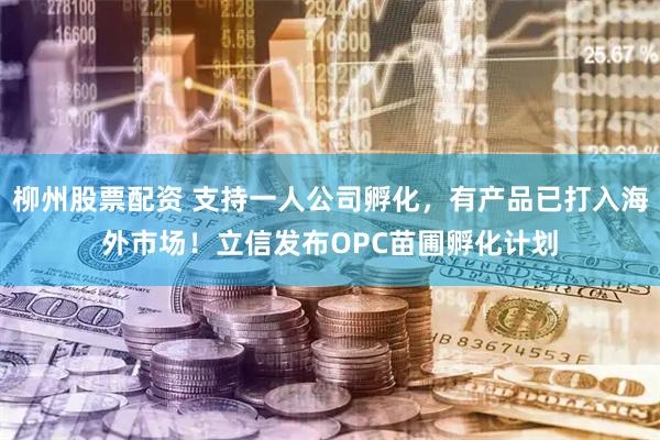 柳州股票配资 支持一人公司孵化，有产品已打入海外市场！立信发布OPC苗圃孵化计划